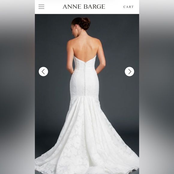 Anne Barge Blue Willow Wedding Dress (Walker style) - Picture 5 of 16